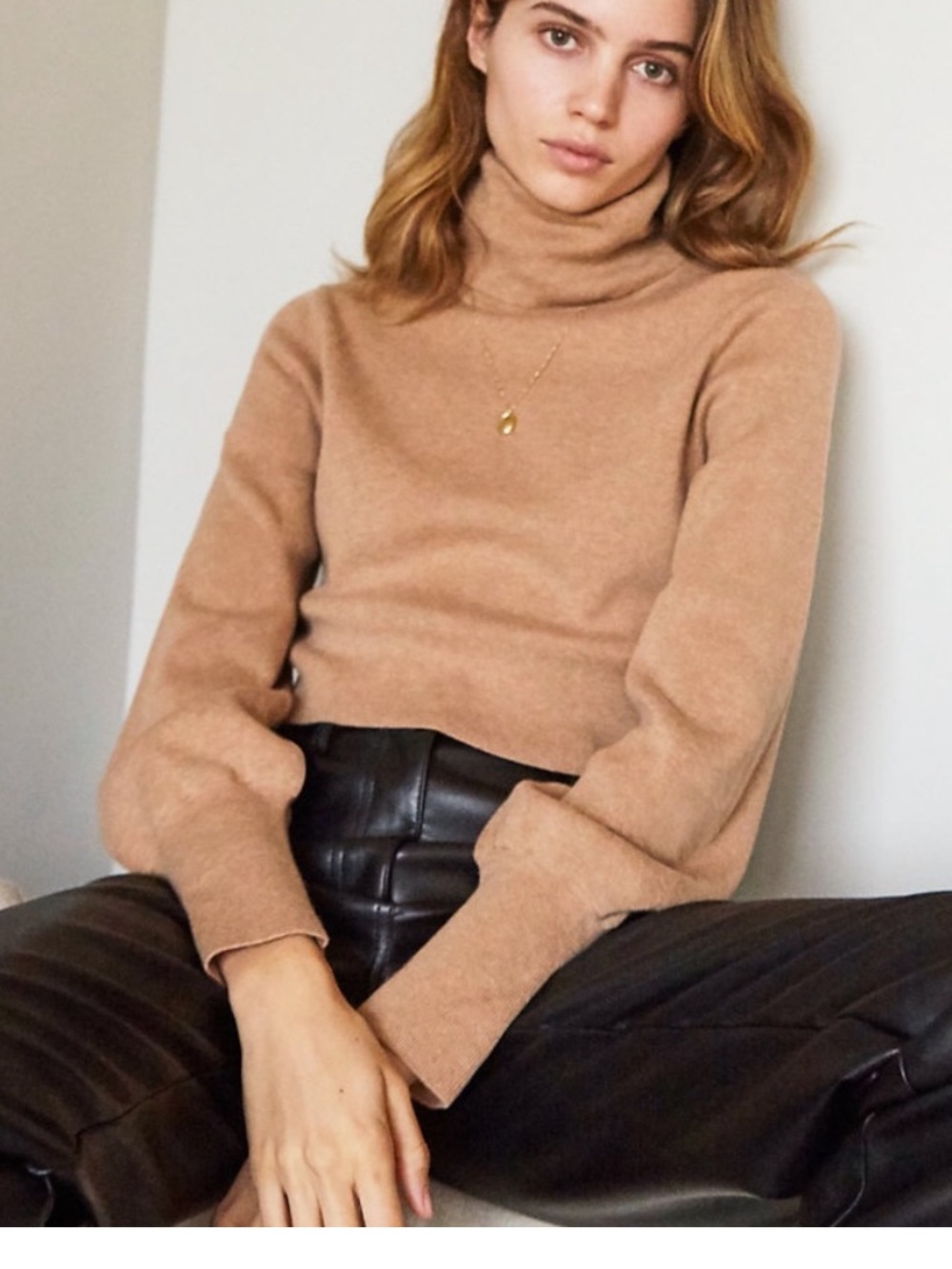 Aritzia Wilfred Merino Wool Cropped Turtleneck